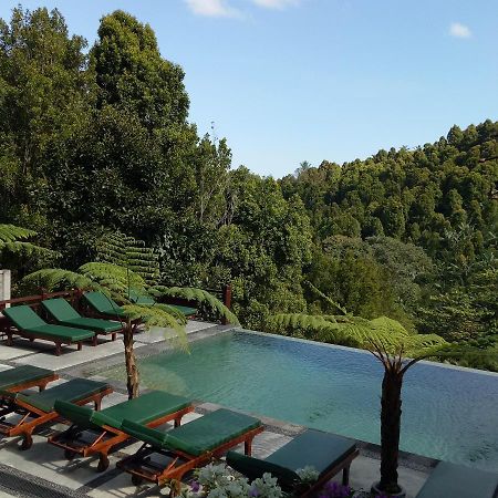Hotel Bintang Munduk Zewnętrze zdjęcie