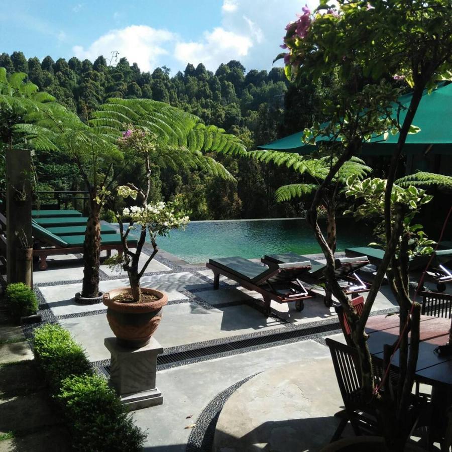 Hotel Bintang Munduk Zewnętrze zdjęcie
