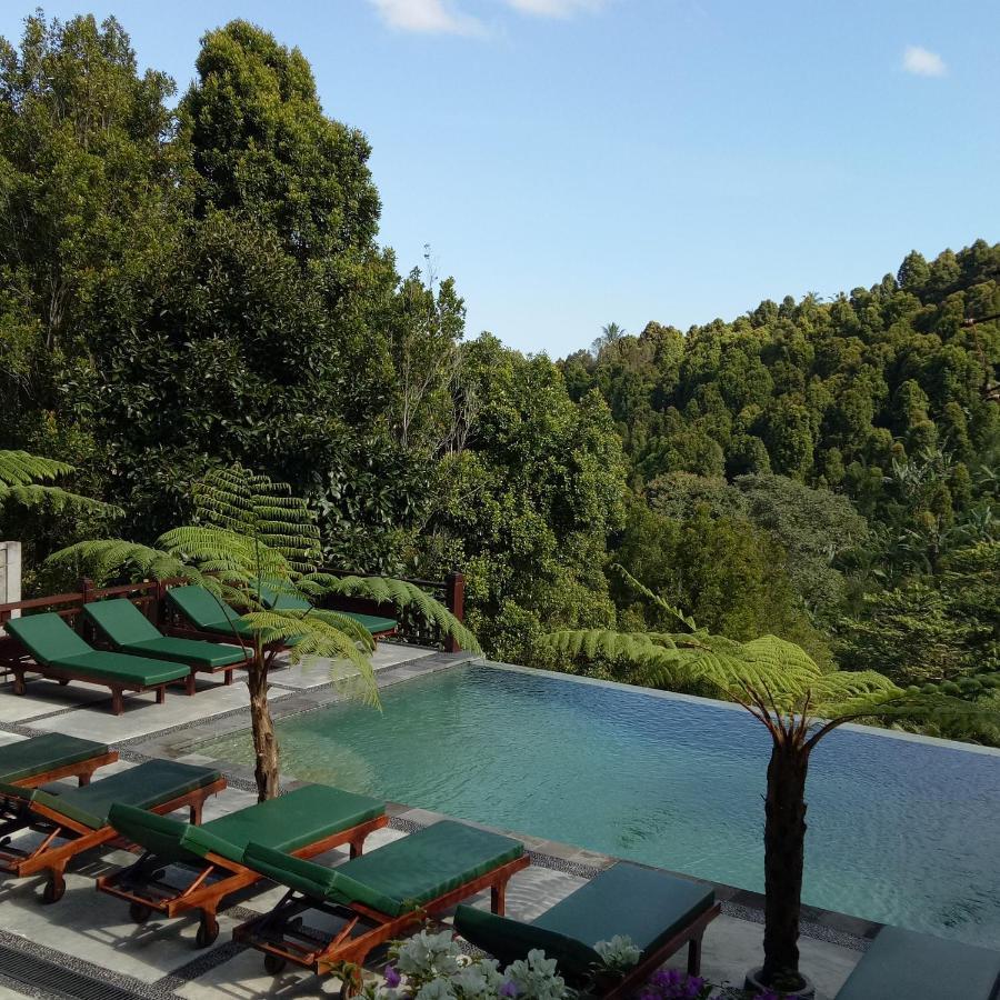Hotel Bintang Munduk Zewnętrze zdjęcie